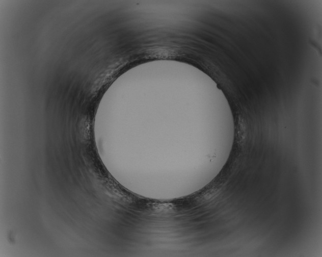 X0000103260355200809261144