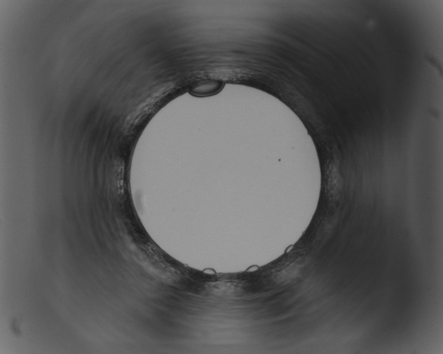 X0000103260356200809261144