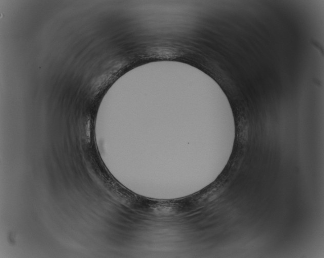 X0000103260358200809261144