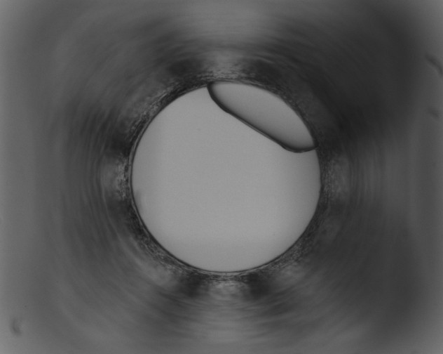 X0000103260360200809261144