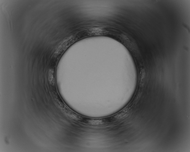 X0000103260361200809261144