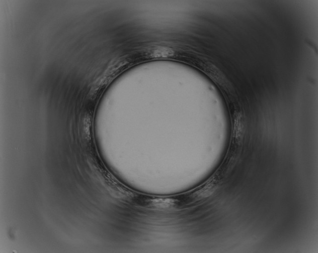 X0000103260363200809261144