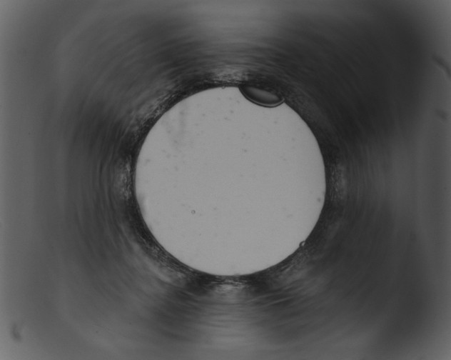 X0000103260364200809261144