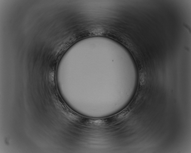 X0000103260365200809261144