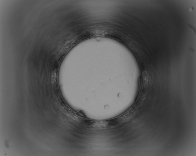 X0000103260369200809261144