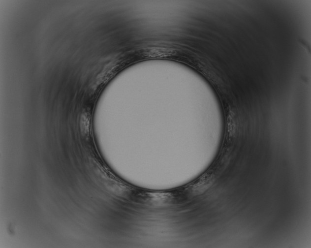 X0000103260371200809261144