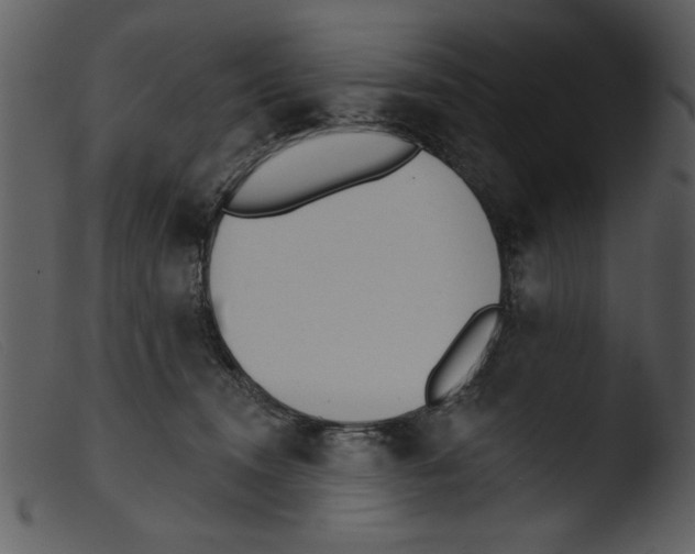 X0000103260372200809261144