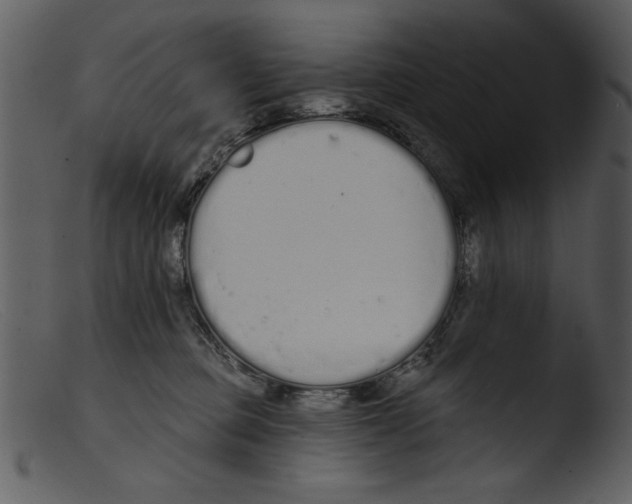 X0000103260373200809261144