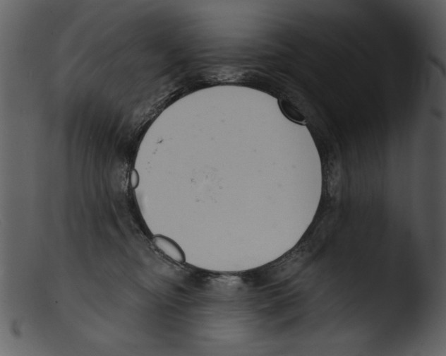 X0000103260374200809261144