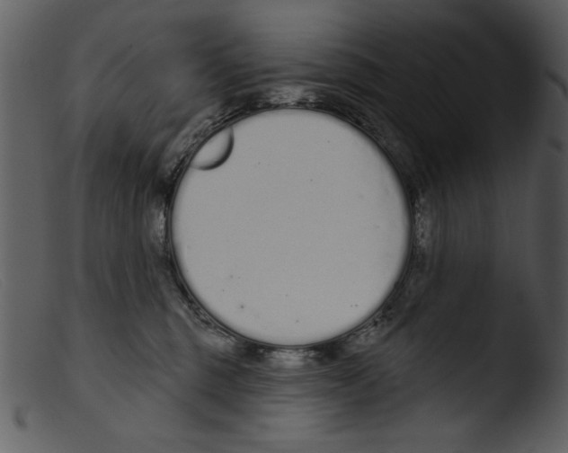 X0000103260375200809261144