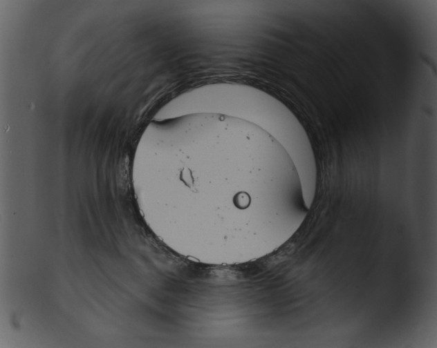 X0000103260376200809261144