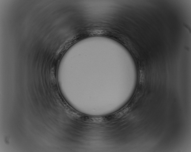 X0000103260377200809261144