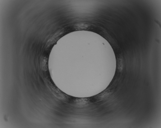 X0000103260378200809261144