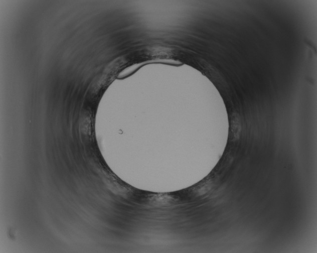 X0000103260379200809261144