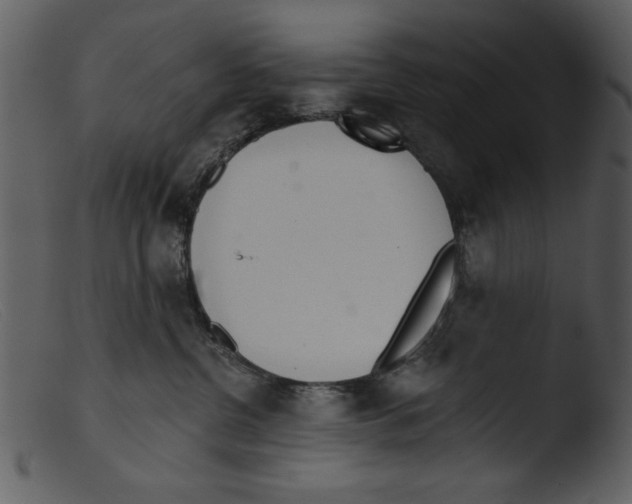 X0000103260380200809261144