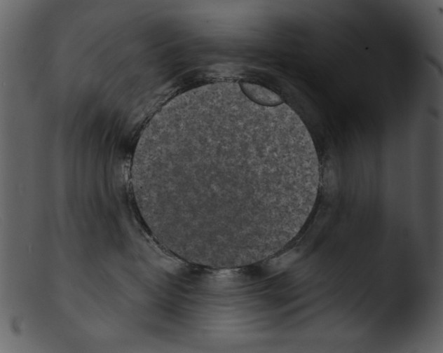 X0000103260382200809261144