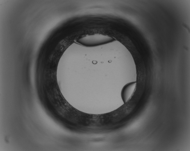 X0000103260383200809261144