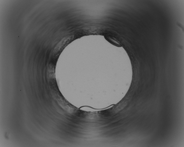 X0000103260384200809261144