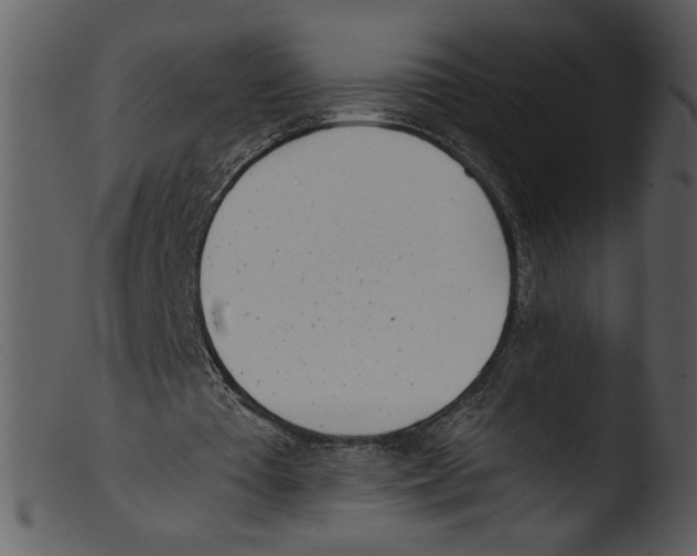 X0000103260385200809261144