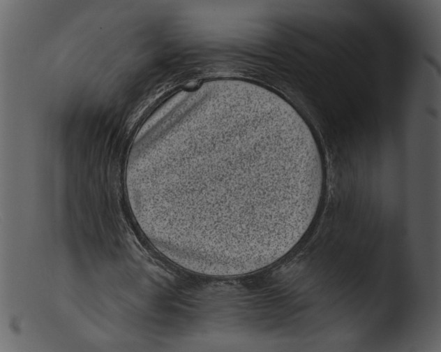 X0000103260386200809261144