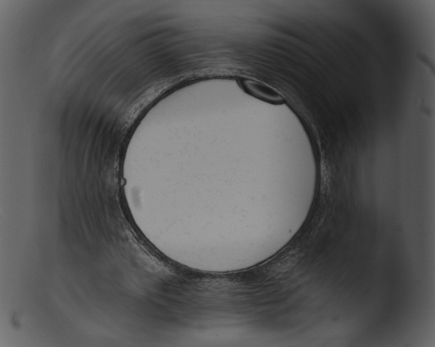 X0000103260389200809261144