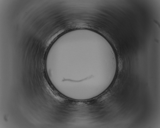 X0000103260390200809261144