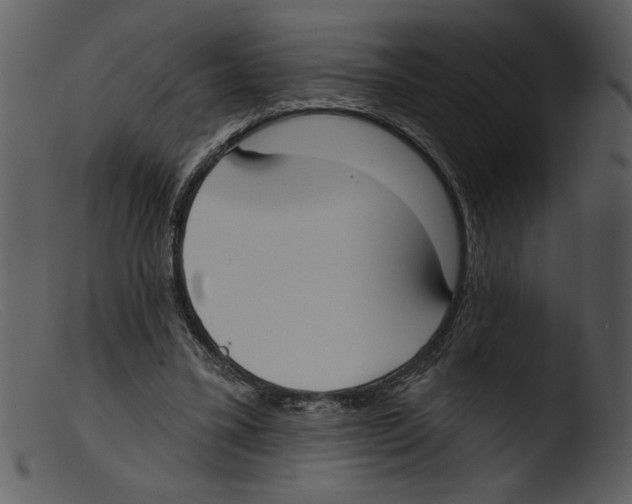 X0000103260395200809261144