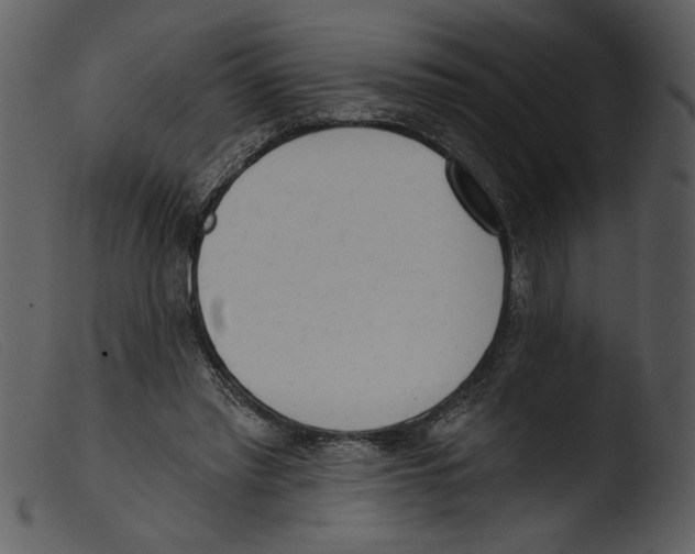 X0000103260397200809261144