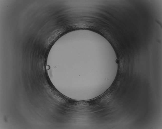 X0000103260398200809261144