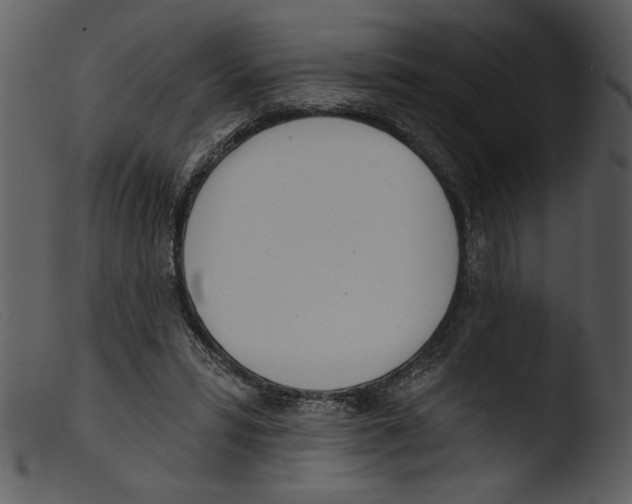 X0000103260399200809261144