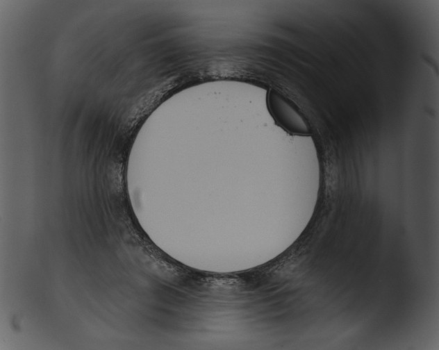 X0000103260401200809261144