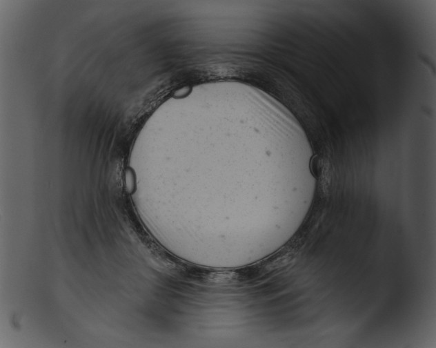 X0000103260410200809261143