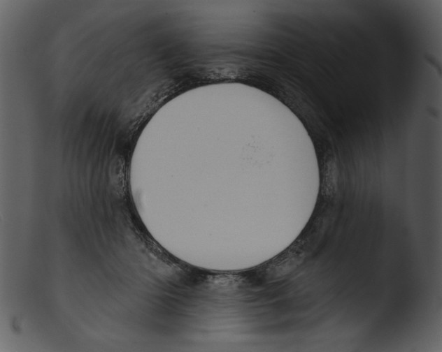 X0000103260414200809261143