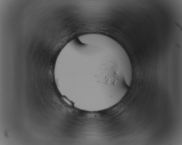 X0000103260415200809261143