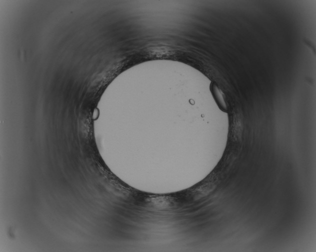 X0000103260417200809261143