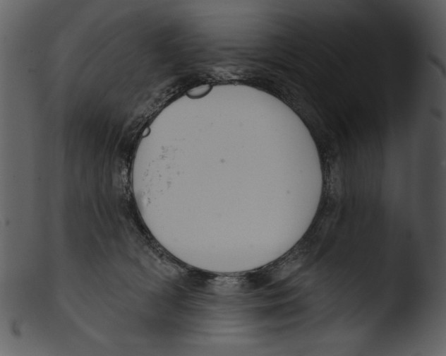 X0000103260418200809261143