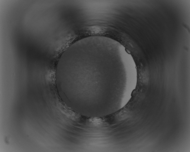 X0000103260419200809261143