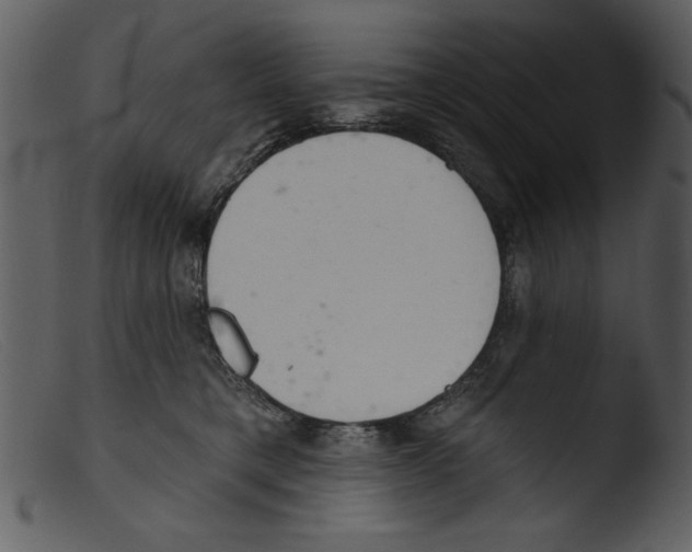 X0000103260421200809261143