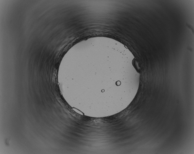 X0000103260423200809261143