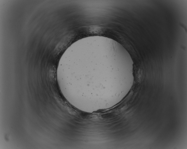 X0000103260424200809261143