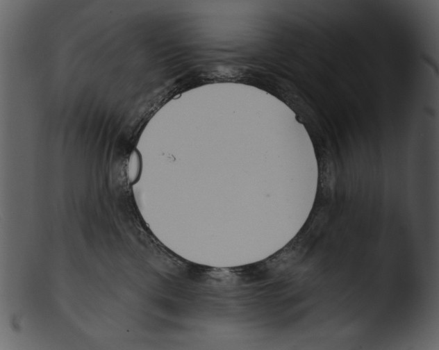 X0000103260425200809261143