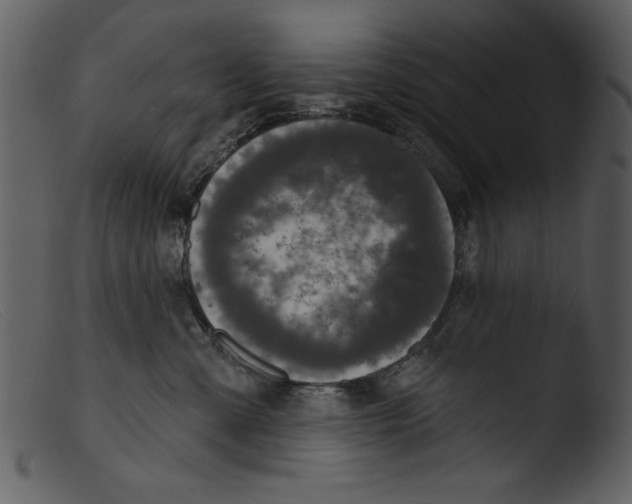 X0000103260427200809261143