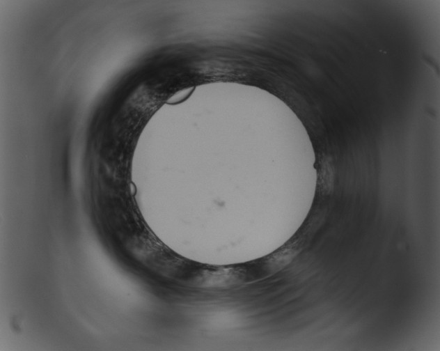 X0000103260430200809261143