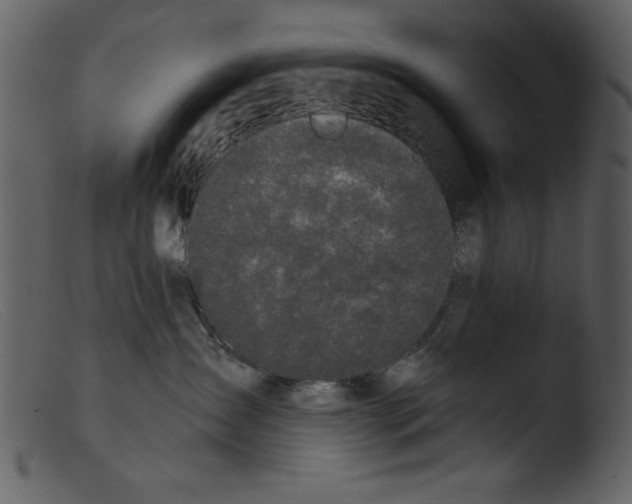 X0000103260431200809261143