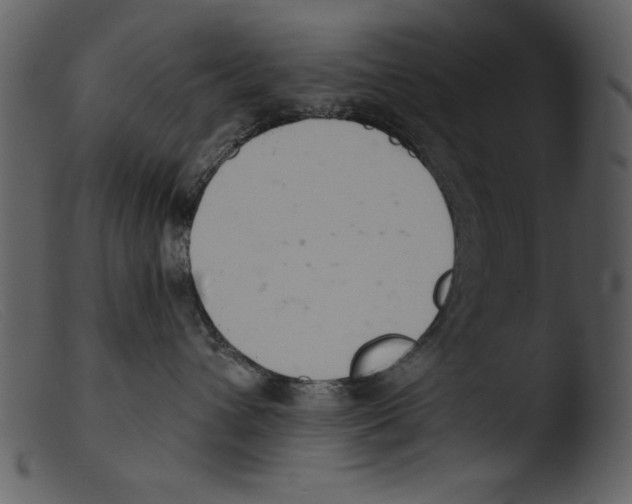 X0000103260432200809261143