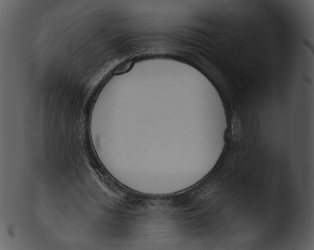 X0000103260436200809261142