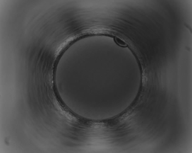 X0000103260438200809261143