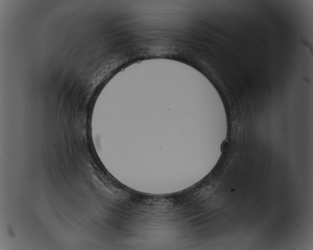 X0000103260443200809261143