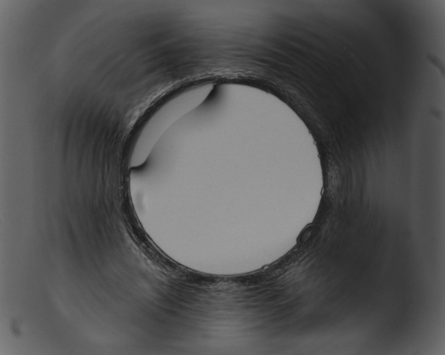 X0000103260444200809261143