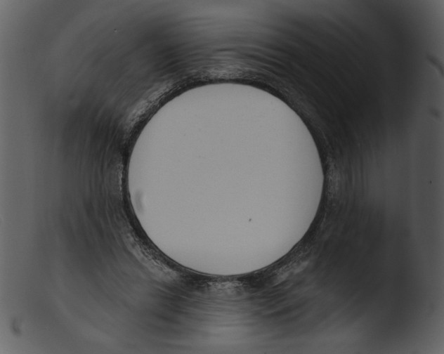 X0000103260446200809261143